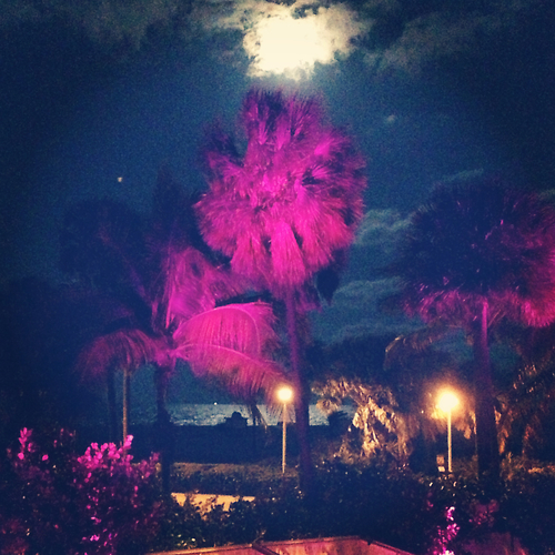 [VIXX/켄엔] 여름 : 불꽃놀이 | 인스티즈