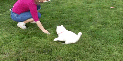 10덕 터지는 내 사랑 | 인스티즈