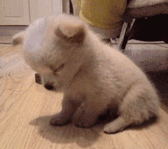 오늘은 일찍 자야겠어요 여러분 | 인스티즈