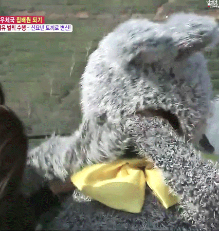 오늘자 2010년으로 돌아간 아이유 ㅋㅋㅋㅋㅋㅋㅋ | 인스티즈