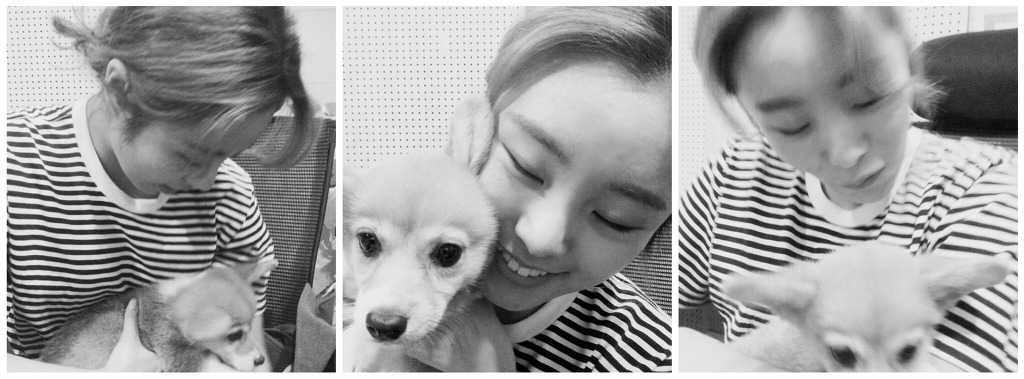 쓰니가 생각하는 여친짤 정석 여돌 | 인스티즈