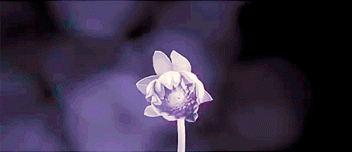 [EXO/민석] 깨비깨비 슈깨비 하나; 춘풍이 불어오는데 어찌 사랑이 불지 아니할 수 있겠는가 | 인스티즈