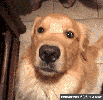 예쁜 아가들 ♥︎ | 인스티즈