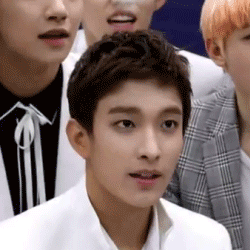 [세븐틴/너봉] 너봉 주위가 꽃밭.4 | 인스티즈