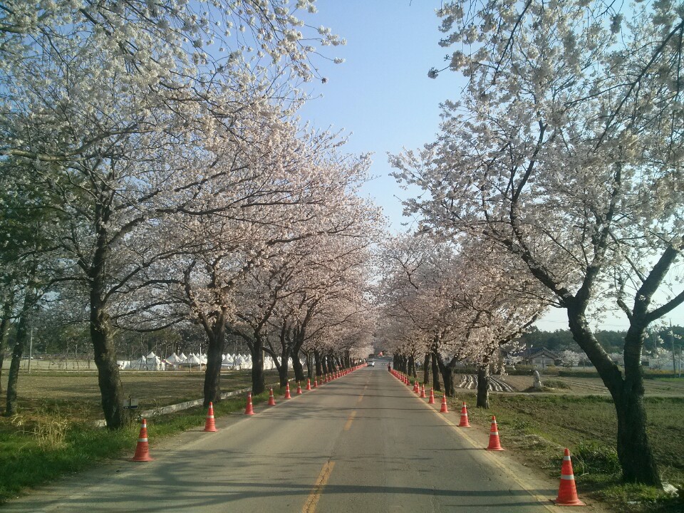 더지니어스) 콩 생일♡기념♡ | 인스티즈