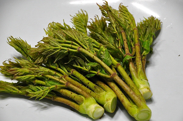 걸그룹 여자친구가 좋아하는 나물은?.jpg | 인스티즈