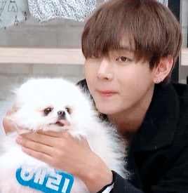 김태형(약간의 다른멤버) 사진 감상하고가세요~ | 인스티즈