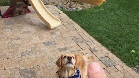 이렇게 못 받는 것도 의도가 분명하다 | 인스티즈