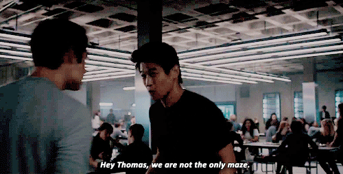 메이즈러너) 짤줍해강 | 인스티즈