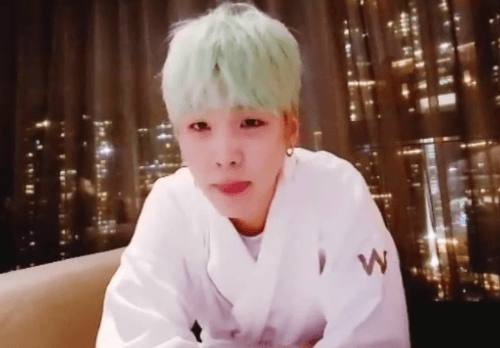 [방탄소년단] 남준이가 대형견인 썰의 무식한 짤털 (데이터 주의) | 인스티즈