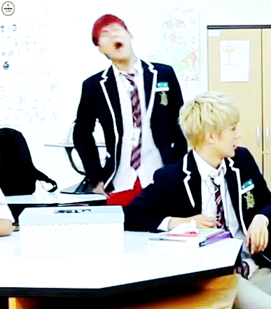 벌레 모형 보고 기겁하는 아이돌.jpg | 인스티즈