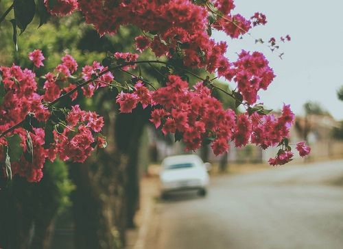 마음이 쓰라린 문장들 | 인스티즈