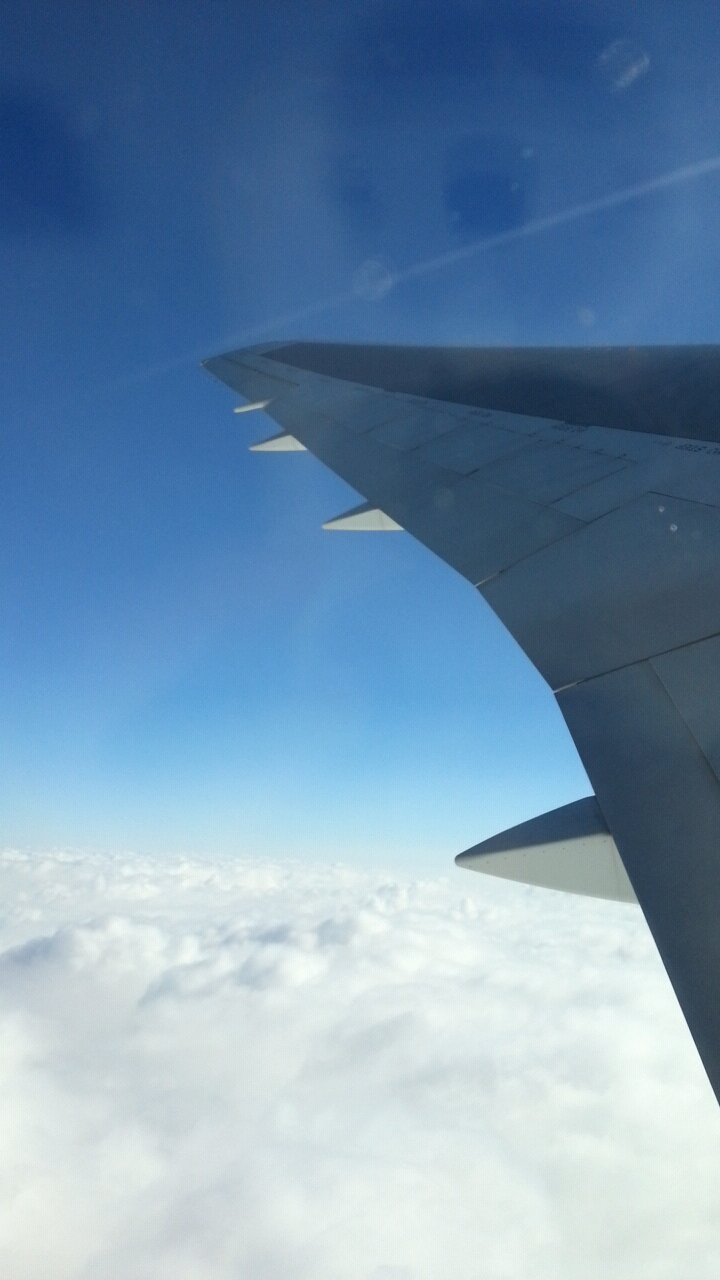 다양한 겨울왕국 엘사 안나 피큐어 | 인스티즈