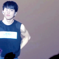 최근들어 부쩍 더 친해져 쌍귀여움 폭발하는 백현 시우민 (feat. 멍냥즈) | 인스티즈