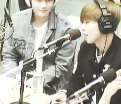 최근들어 부쩍 더 친해져 쌍귀여움 폭발하는 백현 시우민 (feat. 멍냥즈) | 인스티즈