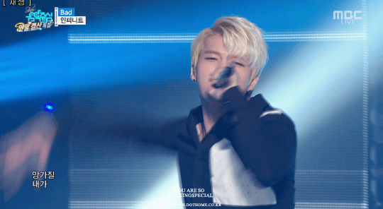 최근들어 부쩍 더 친해져 쌍귀여움 폭발하는 백현 시우민 (feat. 멍냥즈) | 인스티즈