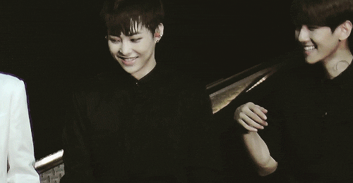 최근들어 부쩍 더 친해져 쌍귀여움 폭발하는 백현 시우민 (feat. 멍냥즈) | 인스티즈