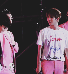 최근들어 부쩍 더 친해져 쌍귀여움 폭발하는 백현 시우민 (feat. 멍냥즈) | 인스티즈