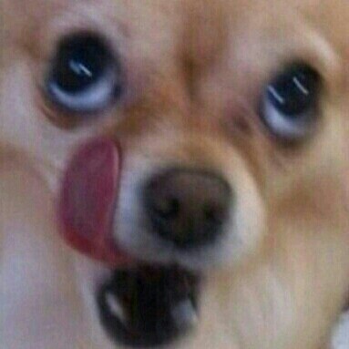 뭐라고?키스? | 인스티즈