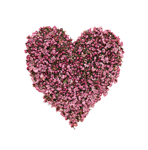 누가 그렇게 하염없이 예뻐도 된답니까 | 인스티즈