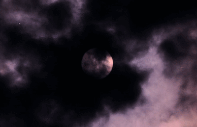 [세븐틴] 당신에게 마법같은 일이 일어난다면? (선택) | 인스티즈