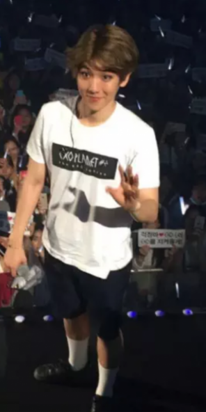 한 아이돌이 콘서트에서 팬을보고 웃는 이유.exo | 인스티즈