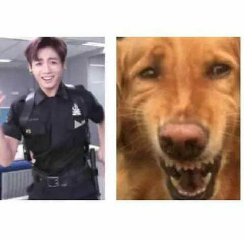 취향저격하는 아이돌콘서트 무대중 甲 | 인스티즈