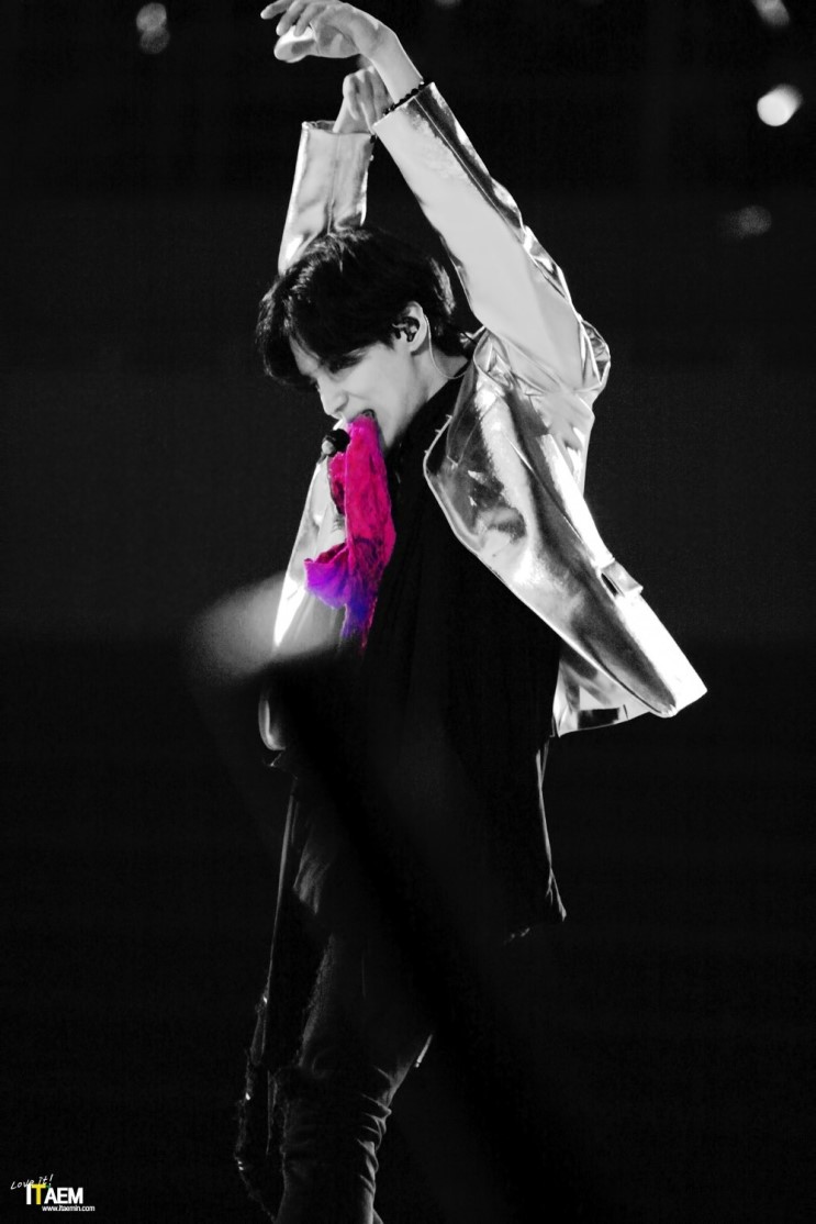 취향저격하는 아이돌콘서트 무대중 甲 | 인스티즈