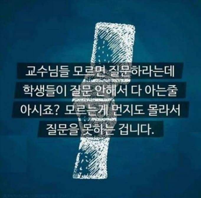 우리가 질문을 하지않는 이유 | 인스티즈