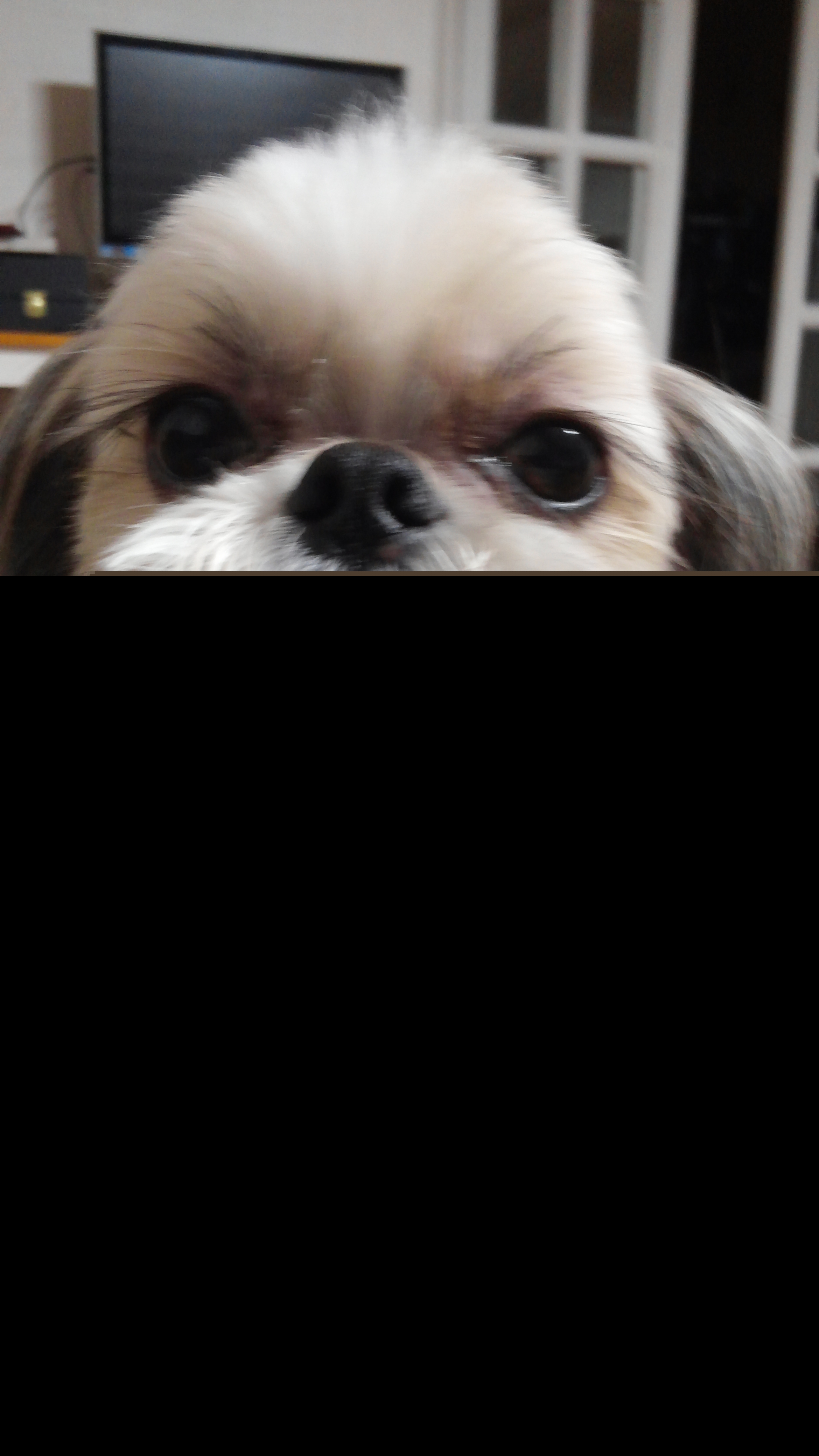 언프리티 랩스타2 입덕 담당 (Feat. 떡볶이) | 인스티즈