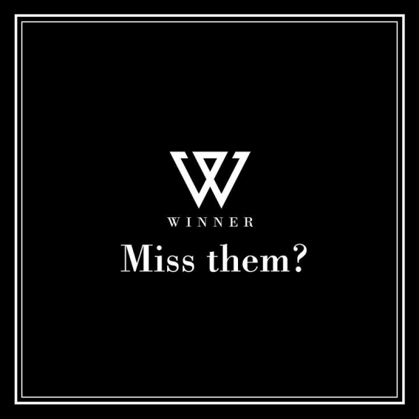 줄줄이 올라오는 miss them.(위너 컴백하나요) | 인스티즈