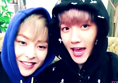 최근들어 부쩍 더 친해져 쌍귀여움 폭발하는 백현 시우민 (feat. 멍냥즈) | 인스티즈