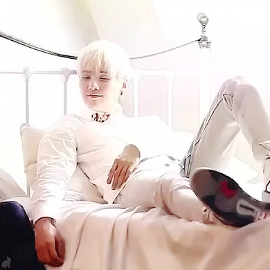 [방탄소년단] 남준이가 대형견인 썰의 무식한 짤털 (데이터 주의) | 인스티즈