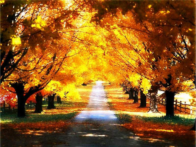 우리나라 사계절.jpg | 인스티즈