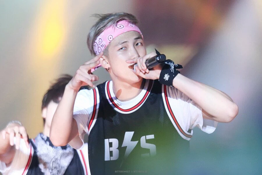 [방탄소년단] 남준이가 대형견인 썰의 무식한 짤털 (데이터 주의) | 인스티즈