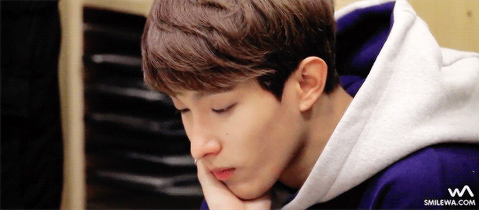 [세븐틴/이석민] 마이 팻 걸 다이어리 2 | 인스티즈