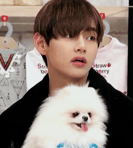 [방탄소년단/역하렘] 방탄 사생팬 아닌데요. 01 | 인스티즈