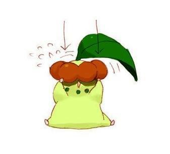 포켓몬 치코리타 진화하는 만화.jpg | 인스티즈