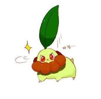 포켓몬 치코리타 진화하는 만화.jpg | 인스티즈