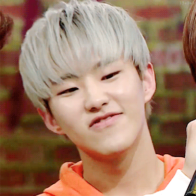 [세븐틴/암호닉생일축전/권순영] Q&A | 인스티즈