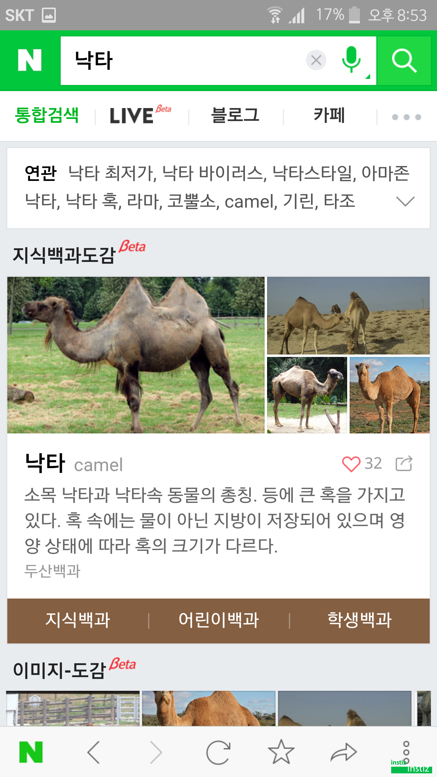 초록창 검색이 험난한 아이돌 | 인스티즈