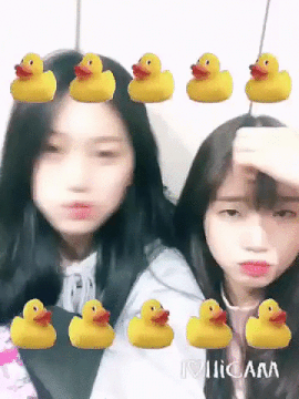 [프로듀스101] 눈에 띄는 세 소속사그룹 차이.gif | 인스티즈