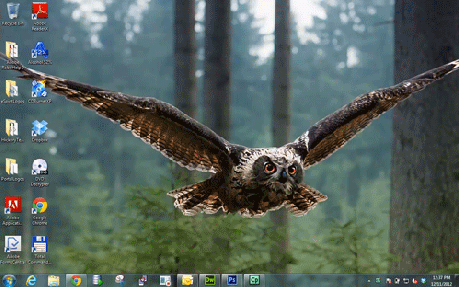 [세븐틴/암호닉생일축전/권순영] Q&A | 인스티즈