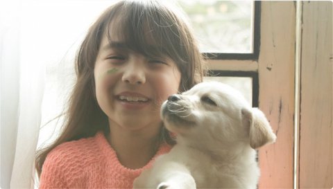 [방탄소년단/반인반수] 반인반수 여우네 가족 | 인스티즈