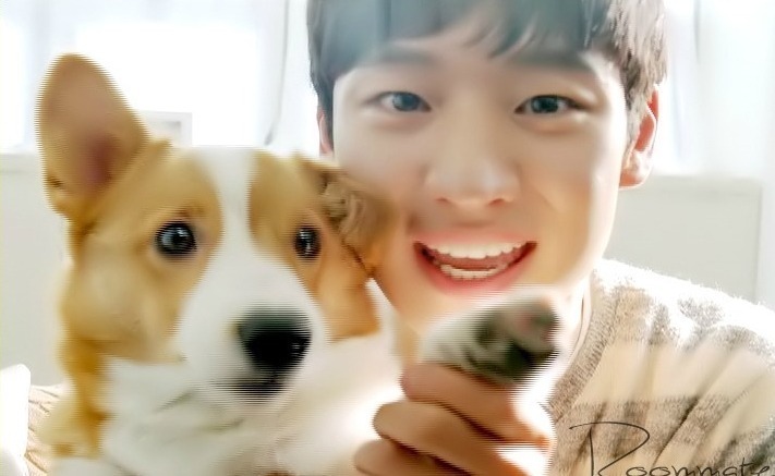 취향 소나무라는 설현 이상형ㅋㅋㅋㅋㅋㅋㅋ | 인스티즈