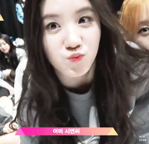 목욕하는 플레디스 박시연.jpgif | 인스티즈