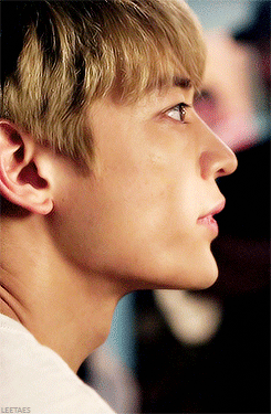 한 명만 더 하면 멤버 전원 핑크머리한 샤이니(한 번만 해줘) | 인스티즈