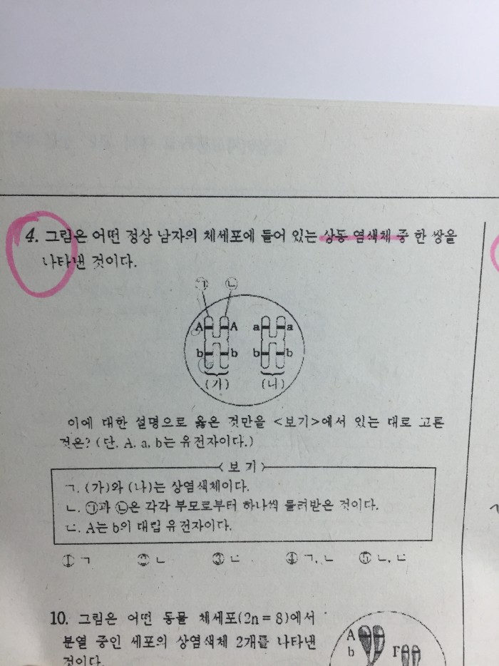 생물문제좀봐주라ㅠㅠ | 인스티즈