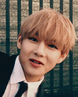 진심 아이돌 하려고 태어난 것 같은 아이돌 멤버.bts (데이터주의) | 인스티즈