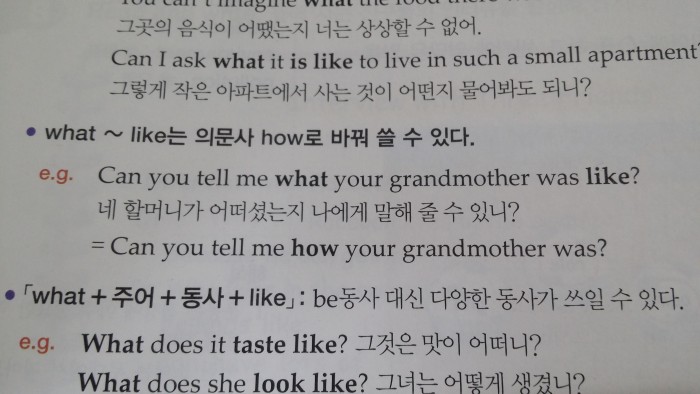 초초초 간단한 영문법인데 그걸 몰라서 답답해 죽겠어요 제발 들어와서 알려줘어어ㅜㅜㅜㅜㅜ | 인스티즈